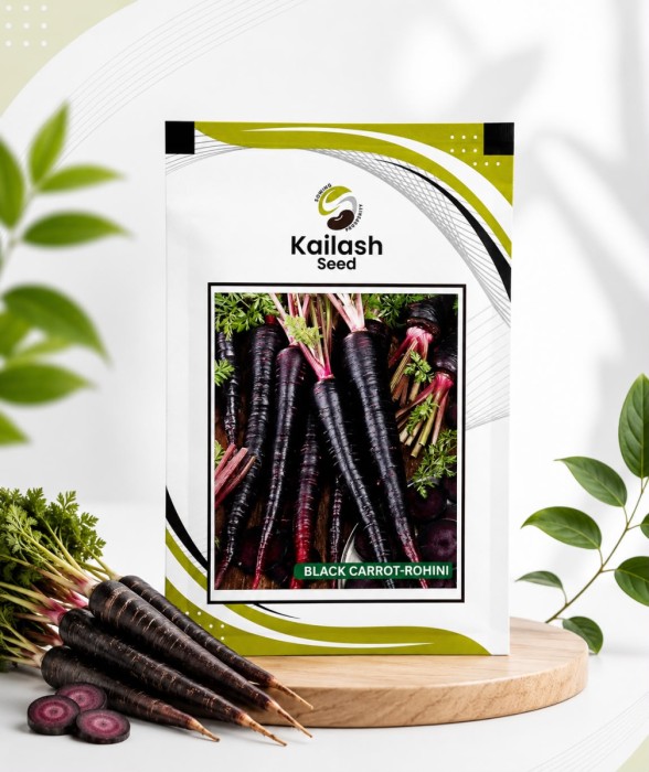 Black Carrot